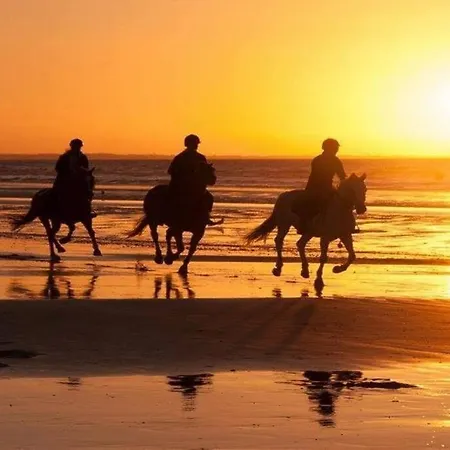 Cabourg, T2 Acces Direct Apartment