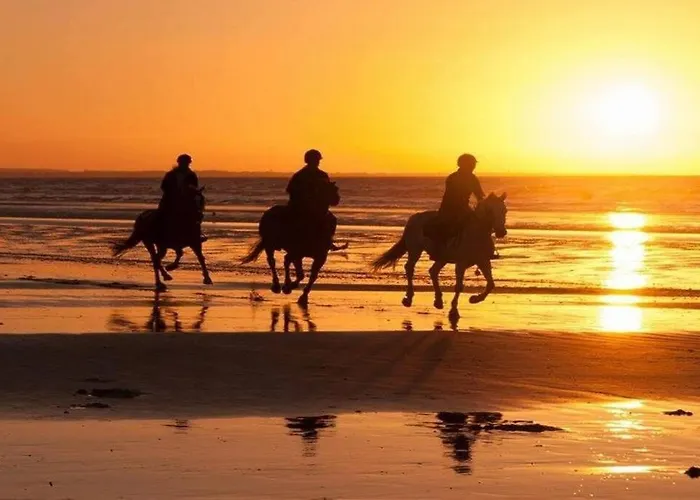 Cabourg, T2 Acces Direct Апартаменты